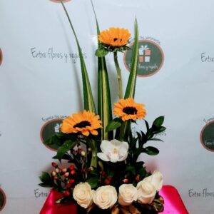 Rosas , Girasol , regalos a domicilio en Quito